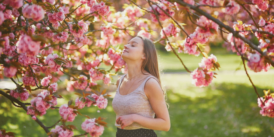 Beneath the Blossoms: Planting Your Own Sakura Dream in the US