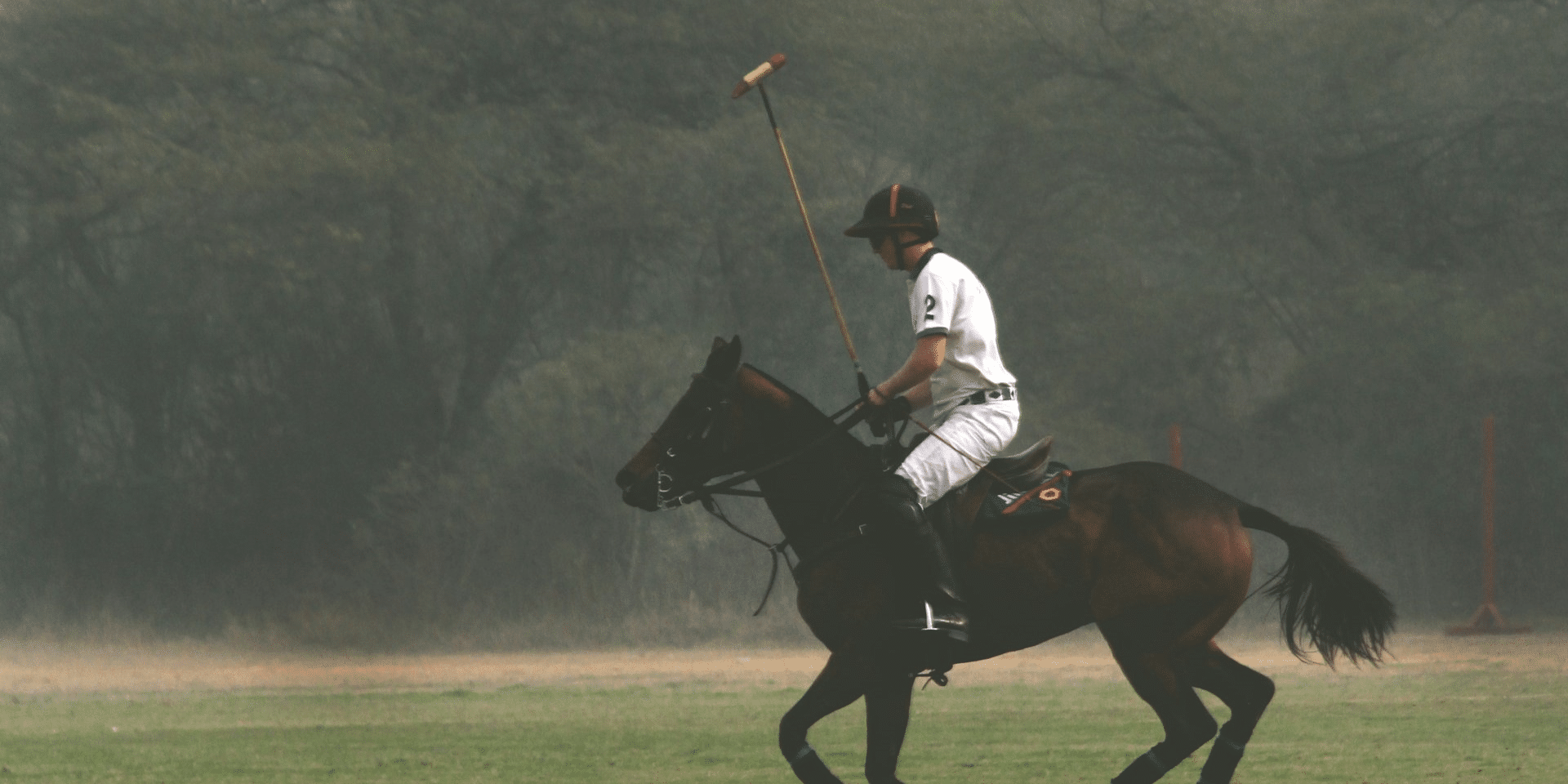 Why Polo Remains an Overlooked Sport