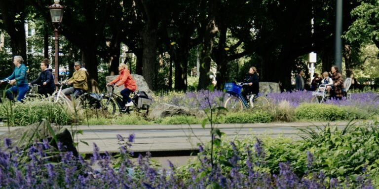 Importance of urban green spaces for wildlife health