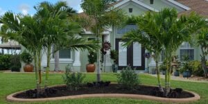 Kustomized Kurbing Enhances Outdoor Spaces with Professional Palm Tree Installation in Southwest Florida