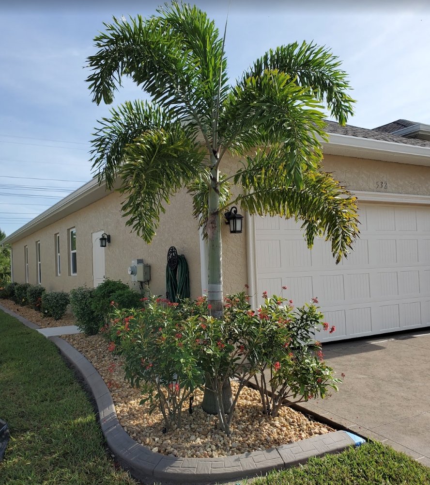 Kustomized Kurbing Enhances Outdoor Spaces with Professional Palm Tree Installation in Southwest Florida