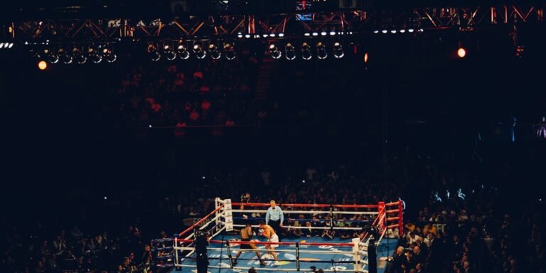professional boxers: How Boxing Fortunes Are Built Beyond the Ring