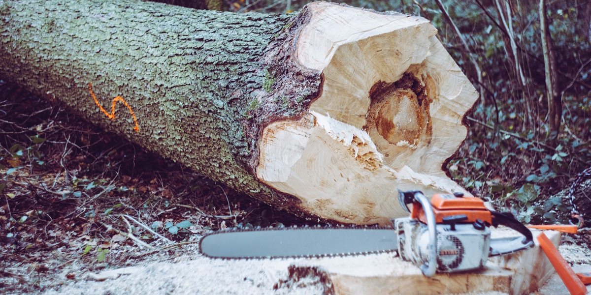 Image commercially licensed from: https://unsplash.com/photos/chainsaw-near-tree-log-qcCHZLdsS80