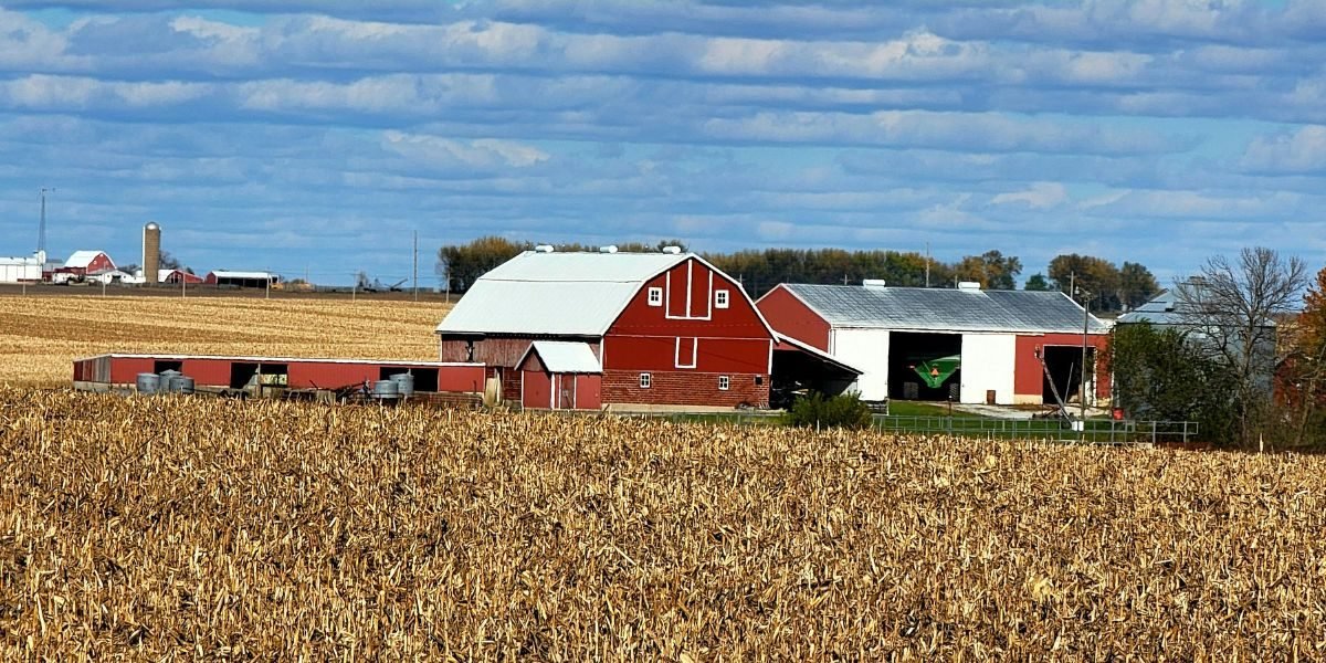 Iowa Business Financing: Beyond the Farm, Into Insurance and Manufacturing